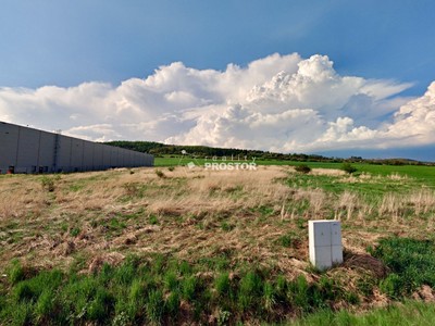 Prodej pozemku, 9 984 m² (2 z 8)