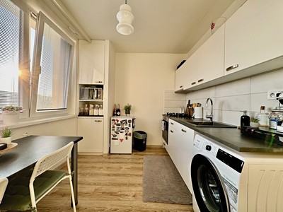 Pronájem bytu 1+1 33 m²