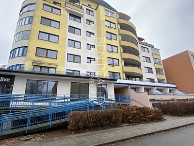 Pronájem bytu 4+1 145 m² (Jednopodlažní)