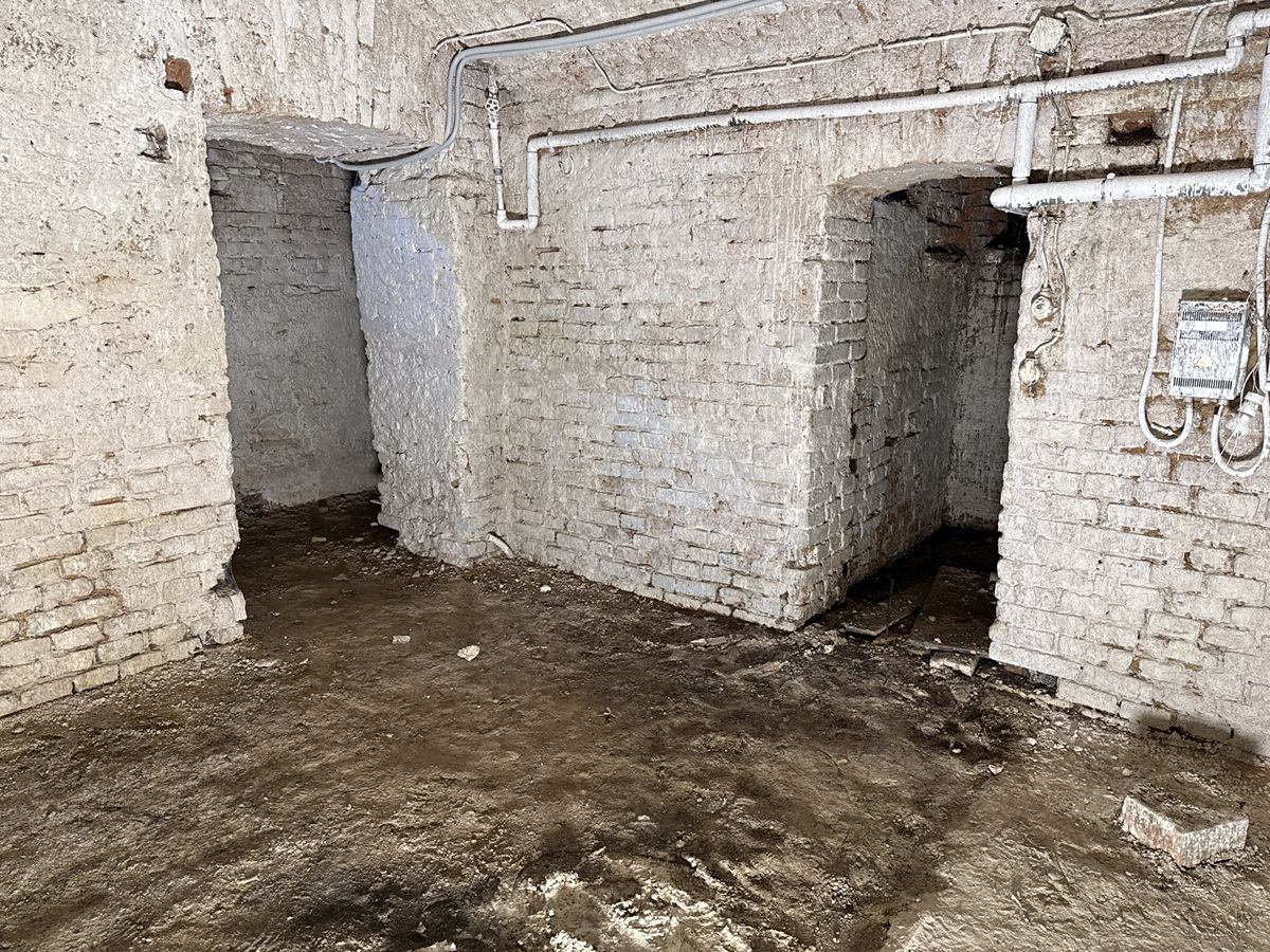 Prodej komerční nemovitosti 160 m² – fotografie 5