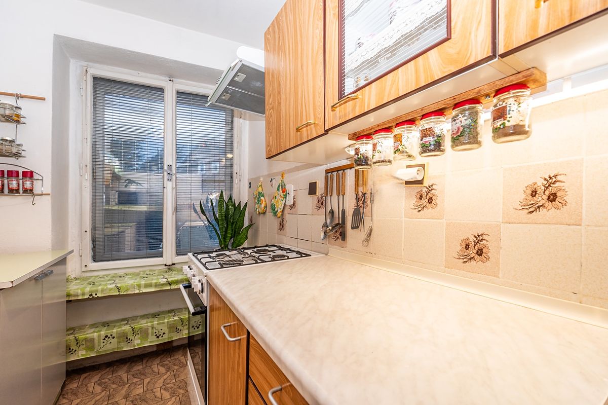 Prodej rodinného domu 380 m², pozemek 4395 m² – fotografie 5
