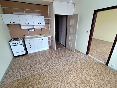 Prodej bytu 1+1 35 m² (Jednopodlažní)
