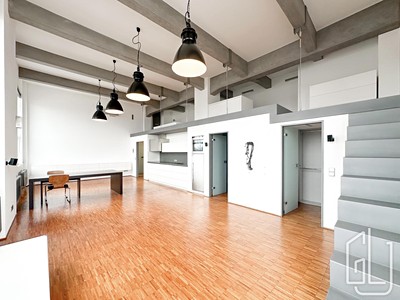 Pronájem bytu 1+kk 114 m² (Loft)