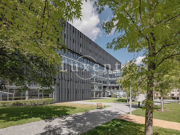 Pronájem komerčního prostoru, 520 m² (7 z 7)