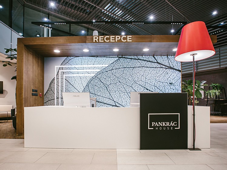 Pronájem komerčního prostoru, 1 000 m² (1 z 15)