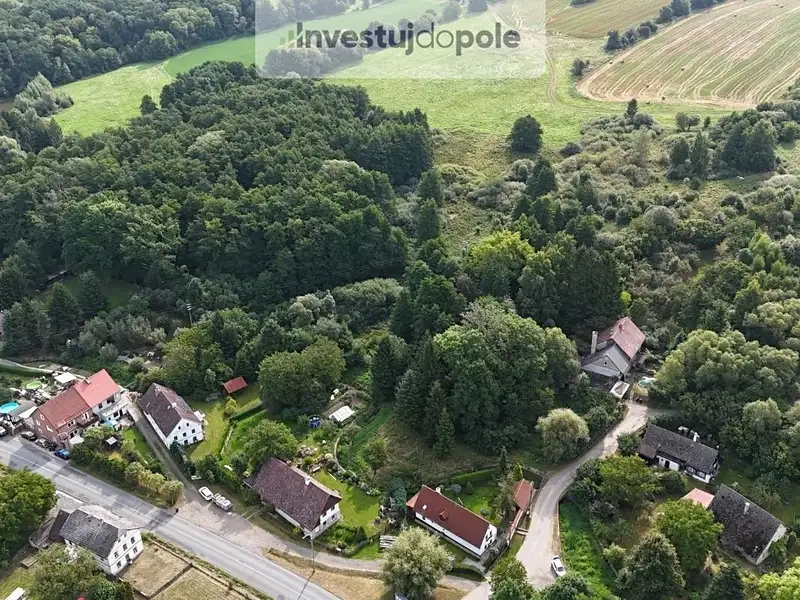Prodej louky 21884 m², Žandov – náhled fotky 3