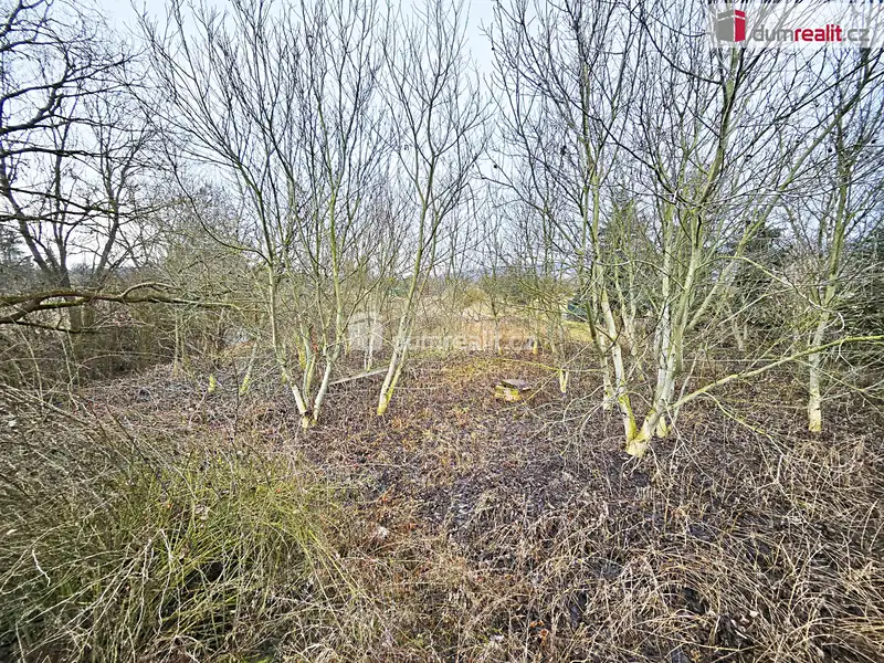 Prodej pole 1549 m², Sulejovice – náhled fotky 2