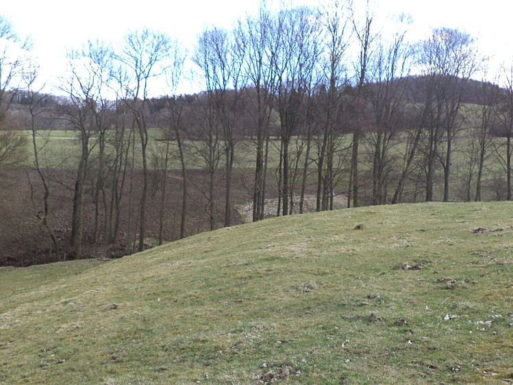 Grundstück zum Kauf, 4.633 m² (4 von 7)