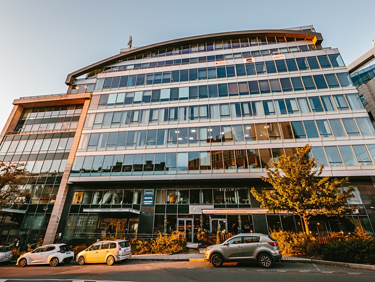 Pronájem komerčního prostoru, 1 000 m² (12 z 15)
