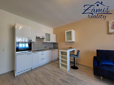 Pronájem bytu 1+kk 35 m² (Jednopodlažní) — photo 3