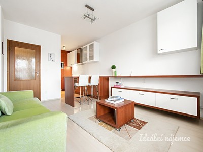 Pronájem bytu 1+1 47 m²