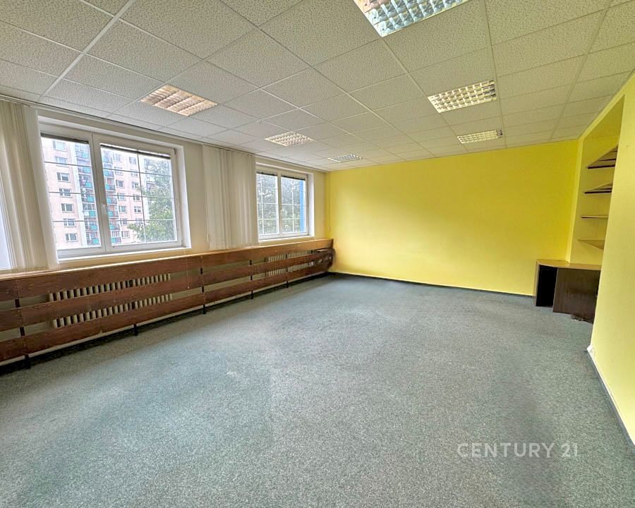 Pronájem kanceláře 36 m² – fotografie 3