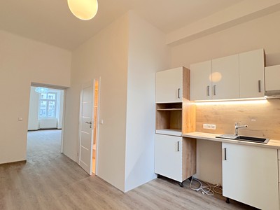 Pronájem bytu 1+1 40 m²