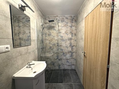 Pronájem bytu 3+1 56 m²