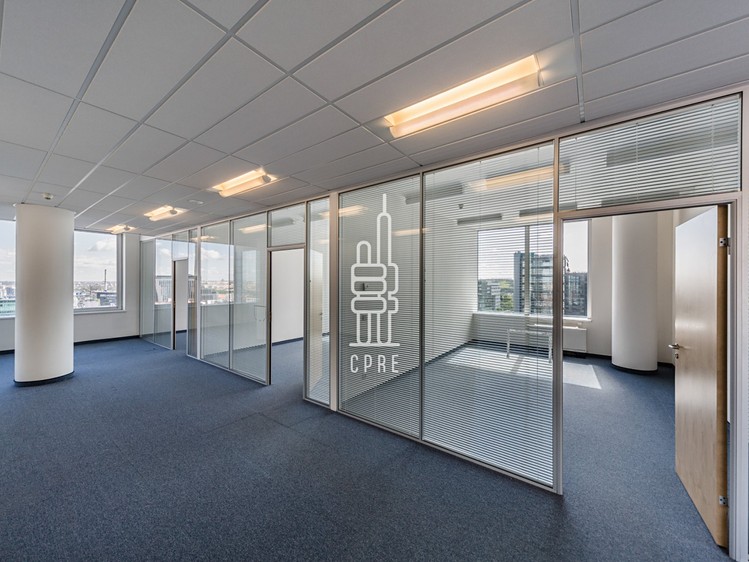 Pronájem komerčního prostoru, 250 m² (4 z 11)