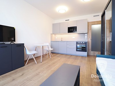 Pronájem bytu 1+kk 28 m²