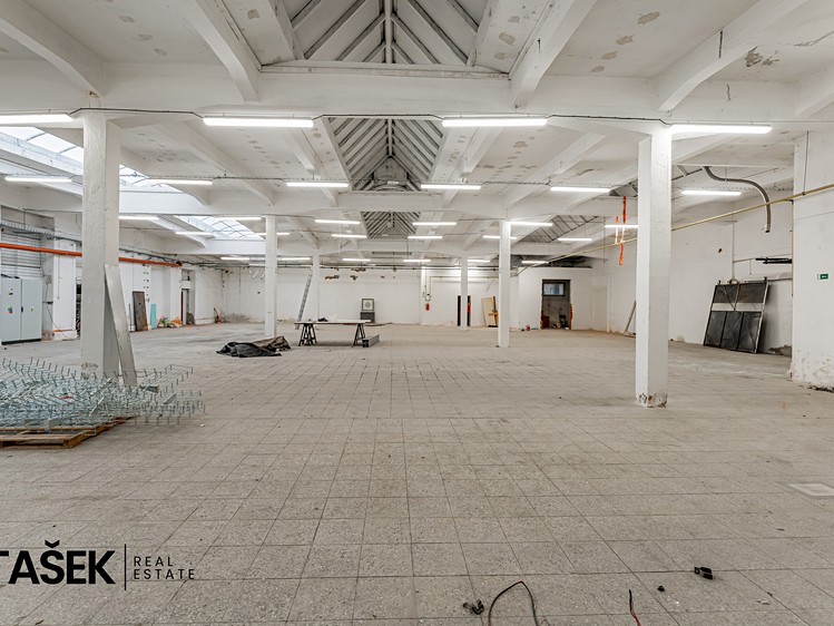 Gewerbefläche zur Miete, 1.253 m² (5 von 18)