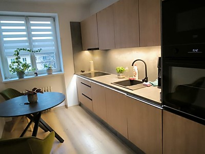 Pronájem bytu 1+1 40 m²