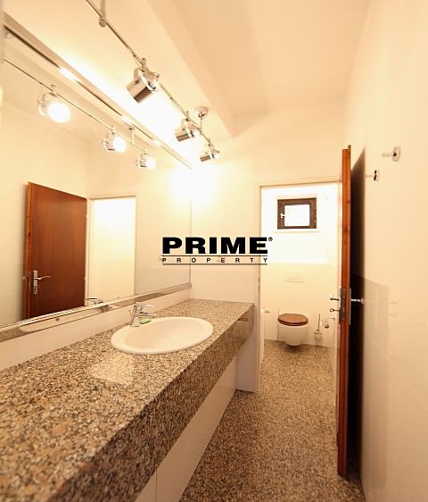 Pronájem komerčního prostoru, 417 m² (10 z 33)