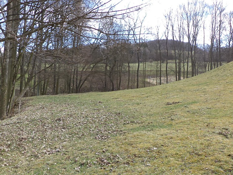 Grundstück zum Kauf, 4.633 m² (1 von 7)