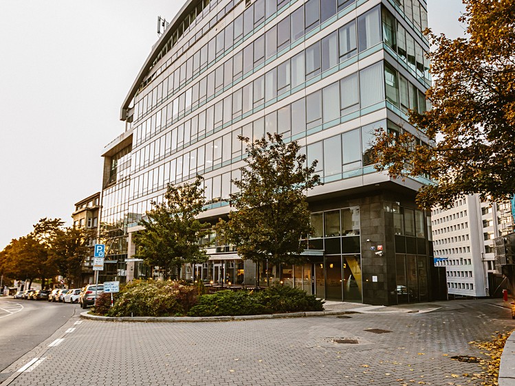 Pronájem komerčního prostoru, 1 000 m² (14 z 15)