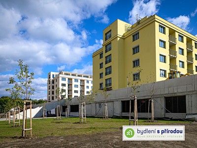 Prodej bytu 2+kk 63 m² (Jednopodlažní)