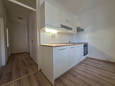 Pronájem bytu 2+1 56 m² (Jednopodlažní)