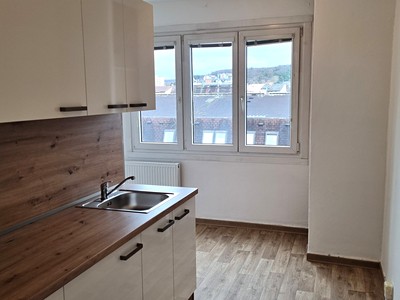 Pronájem bytu 1+1 41 m² (Jednopodlažní)