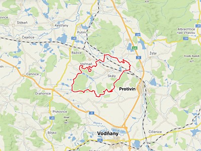 Prodej  lesa 5 564 m²