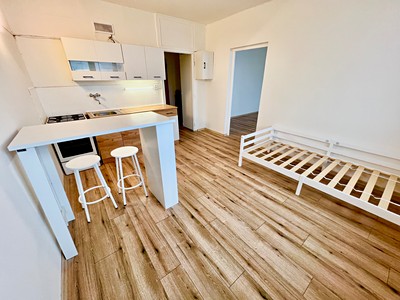 Prodej bytu 1+1 37 m² (Jednopodlažní)