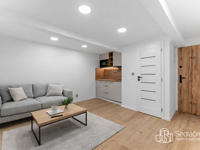 Prodej bytu atypické 39 m² (Jednopodlažní)