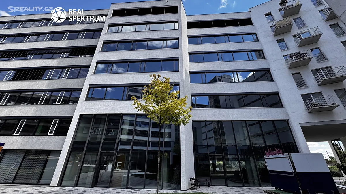 Pronájem kanceláře 240 m² - View 6