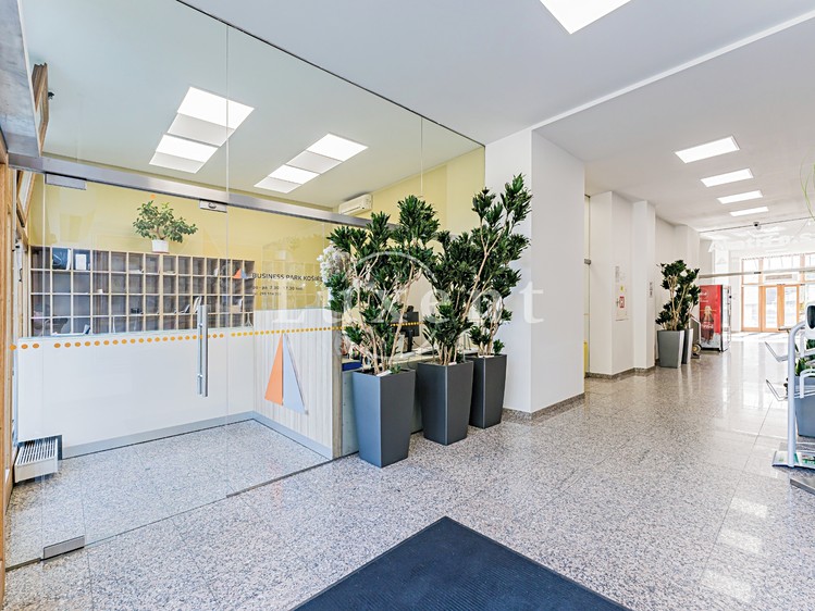 Комерційне приміщення в оренду, 257 м² (22 з 30)