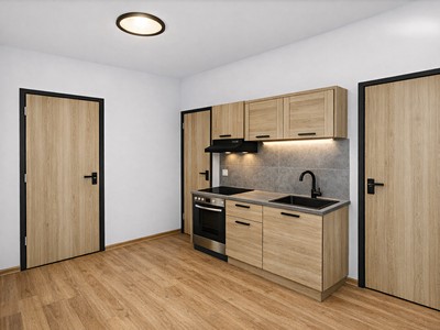 Prodej bytu 1+kk 31 m² (Jednopodlažní)