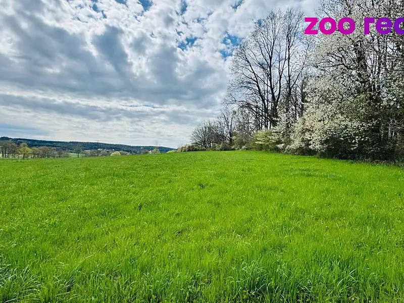 Prodej stavebního pozemku 1179 m², Žimutice – náhled fotky 3