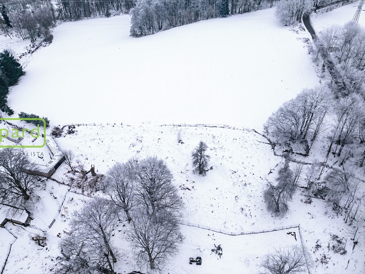 Grundstück zum Kauf, 3.300 m² (5 von 8)