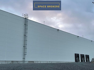 Gewerbefläche zur Miete, 6.166 m² (3 von 8)