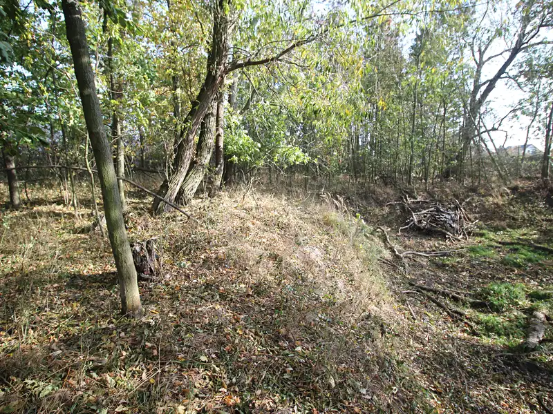 Prodej pozemku 3508 m², Dolní Břežany – náhled fotky 2