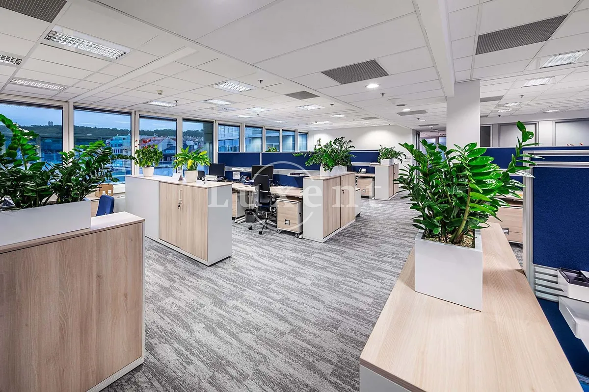 Pronájem kanceláře 234 m²
