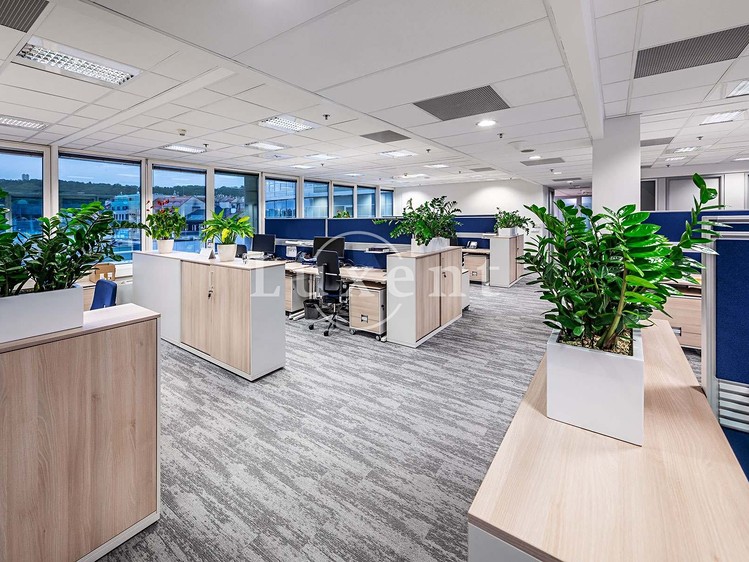 Gewerbefläche zur Miete, 234 m² (1 von 9)