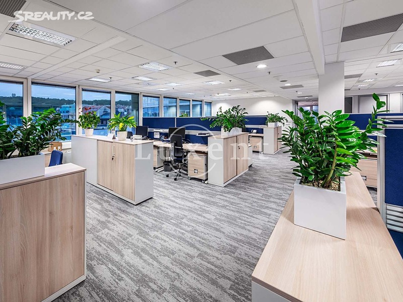 Pronájem kanceláře 234 m², Praha