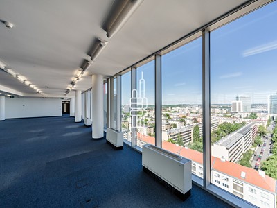 Pronájem komerčního prostoru, 250 m² (2 z 11)