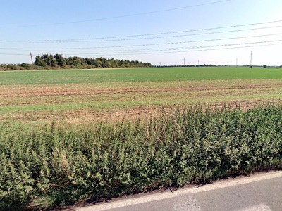 Grundstück zum Kauf, 8.459 m² (3 von 4)