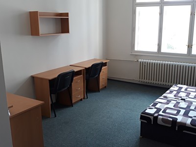 Pronájem  pokoje 15 m² (Jednopodlažní)