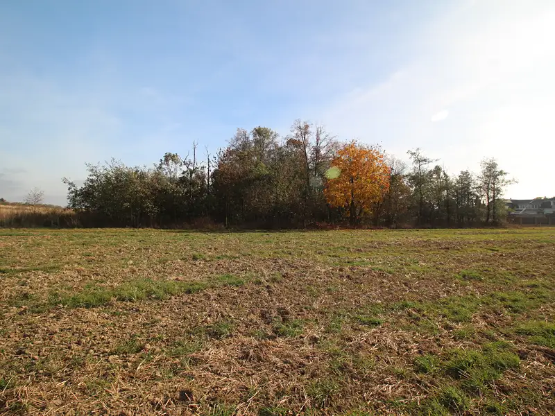 Prodej pozemku 3508 m², Dolní Břežany – náhled fotky 1
