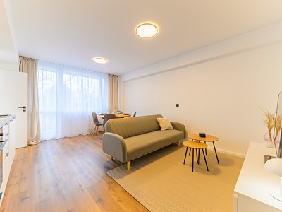 Prodej bytu 2+kk 41 m² (Jednopodlažní)