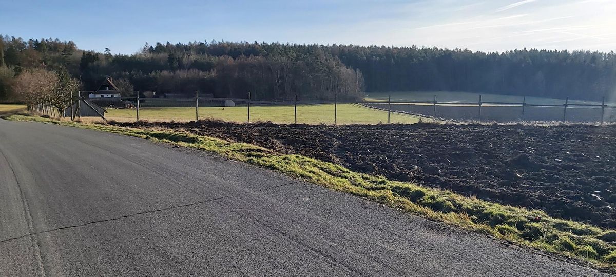 Prodej pole 2558 m²