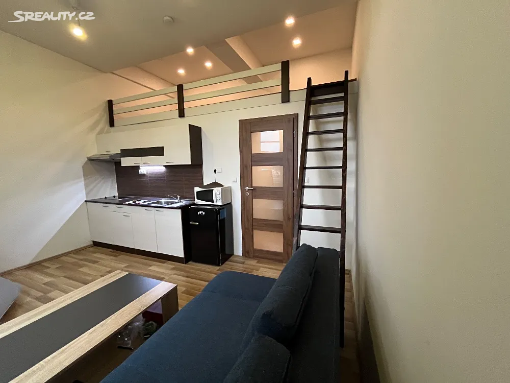 Pronájem bytu 1+kk 31 m², Žižkova
