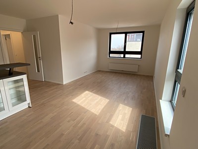 Pronájem bytu 2+kk 65 m² (Jednopodlažní)