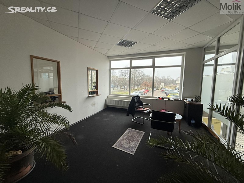 Pronájem obchodního prostoru 41 m², Most